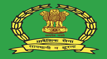 Understanding the Territorial Army of India